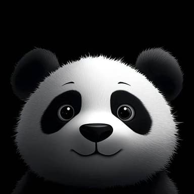 Edan Creative Studio